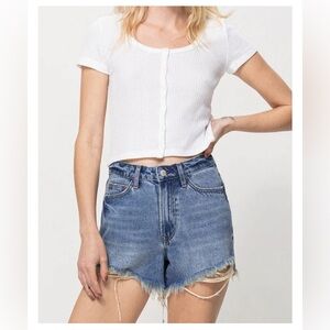 High Waist Denim Shorts